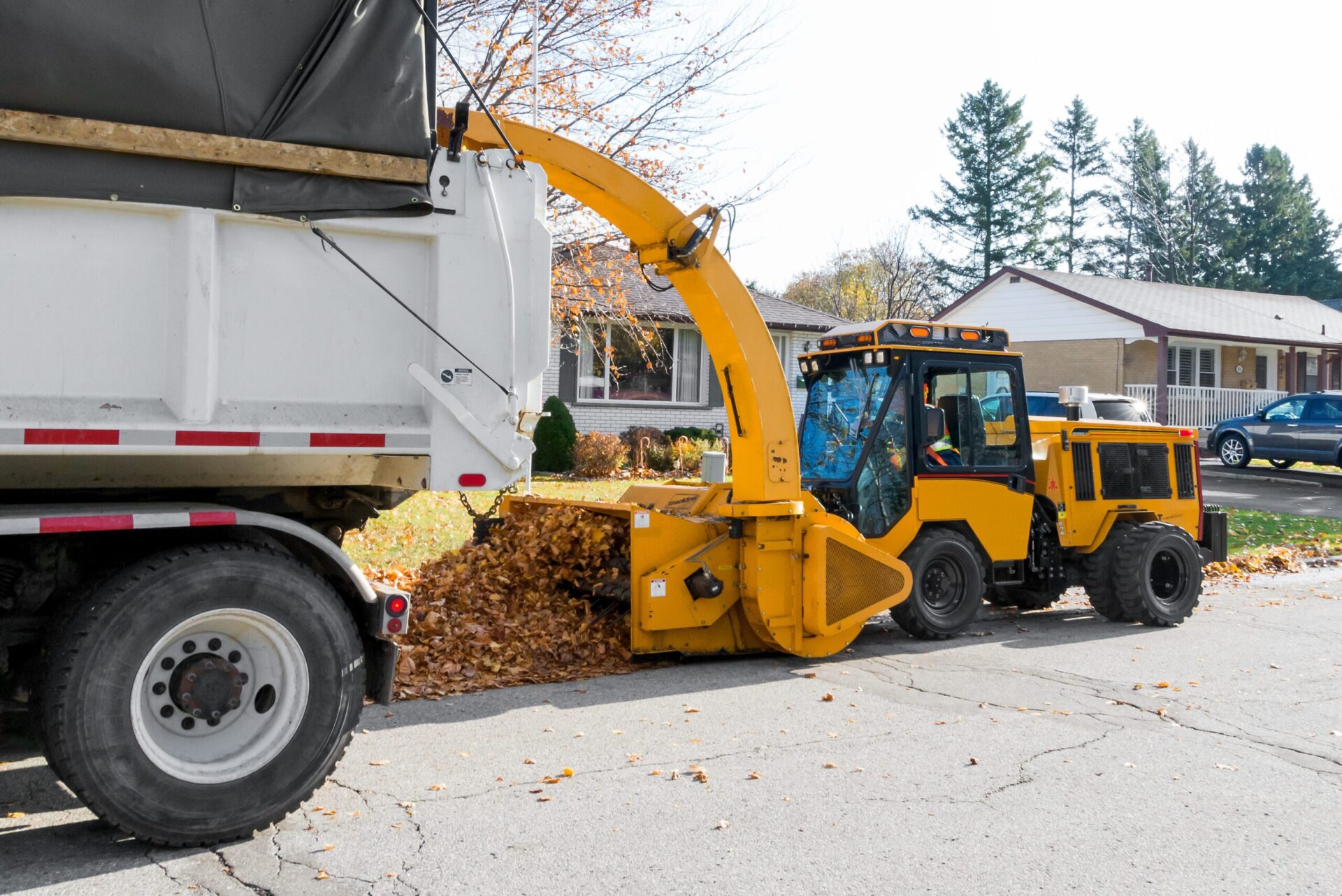 Trackless Vehicles MT7 tractor equipped with a Leaf Loader attachment loading leaves into a truck